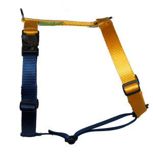 Duo-color tuigje citrusgeel-marineblauw