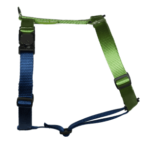 Duo-color tuigje limoen-marineblauw