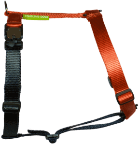 Duo-color tuigje roestoranje-zwart