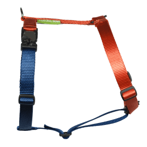 Duo-color tuigje roestoranje-marineblauw